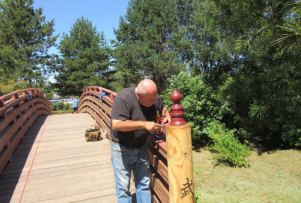 Bridge work with Jim Card