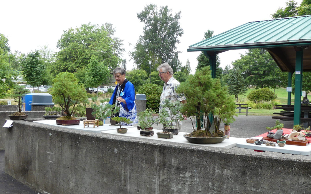 Cultural Event 2017 (Pic 11)
