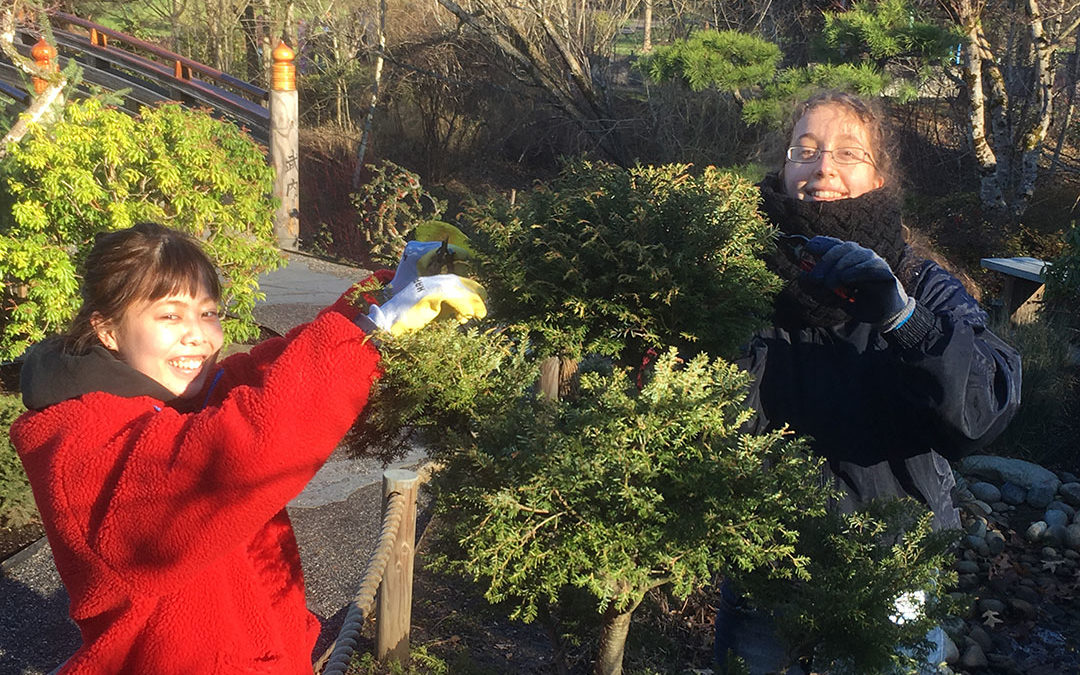 Ebetsu Exchange Students working at Tsuru Island (pic 4)